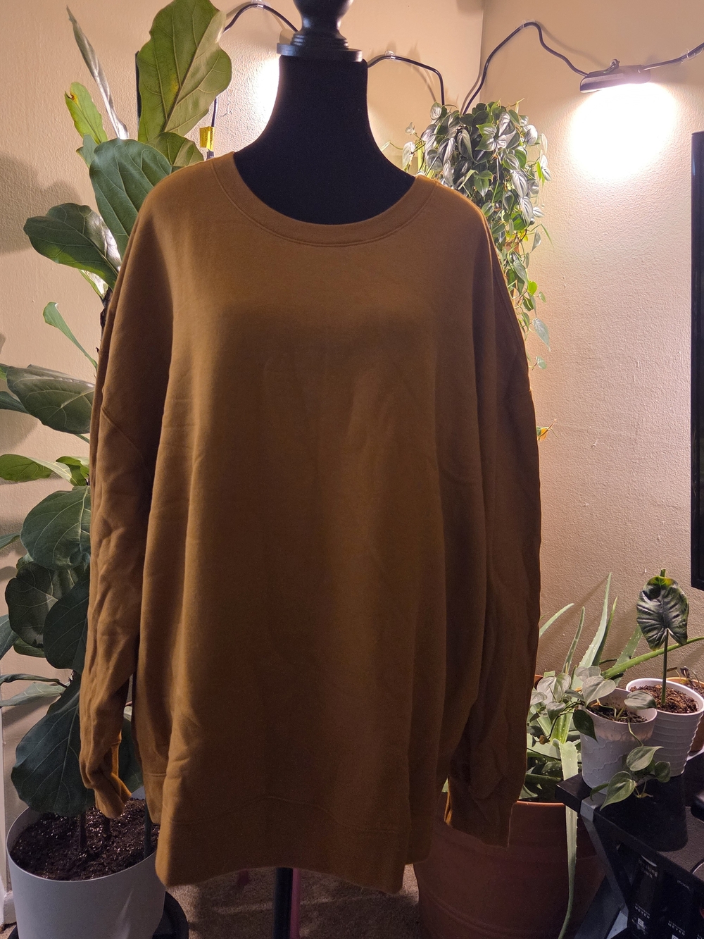 Hanes Women's Crewneck Sweatshirt - Mustard Brown / Warm Gold - 4X